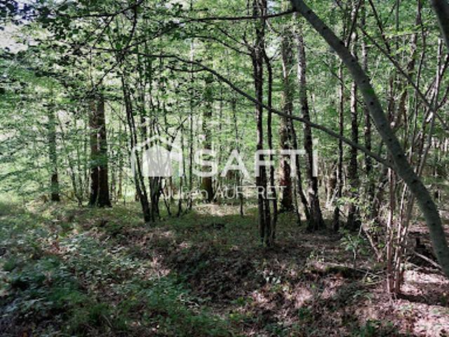 Terrain vente à Cosne-Cours-sur-Loire, Arquian