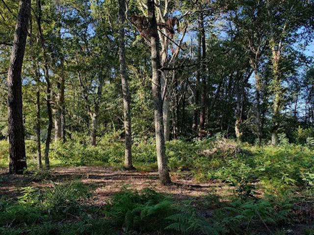 Terrain vente à Dax, Seignosse