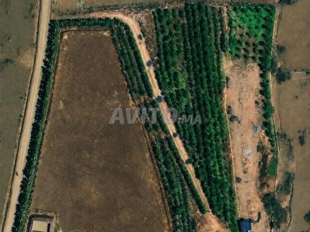 Propriété vente à Al Haouz, L'Oriental