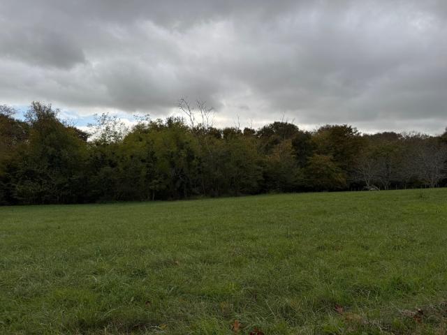 Terrain vente à Langon, Gironde-sur-dropt