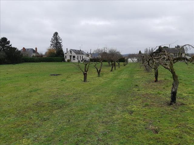 Terrain vente à Châteauroux, Palluau-sur-indre