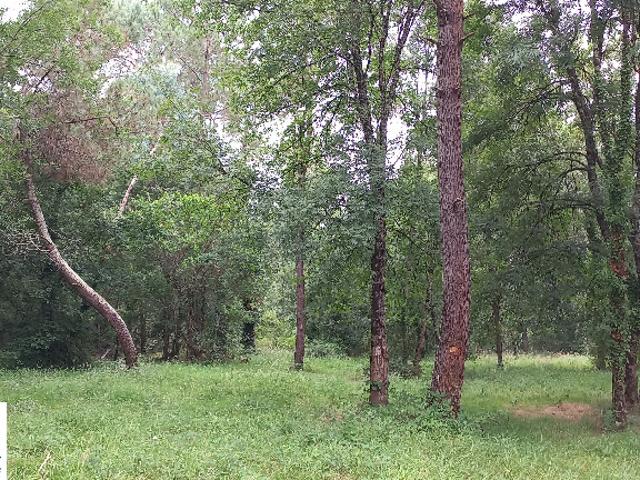 Terrain vente à Périgueux, Ménesplet