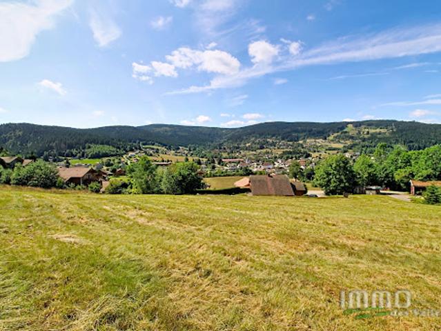 Terrain vente à Saint-Dié-des-Vosges, Xonrupt-longemer