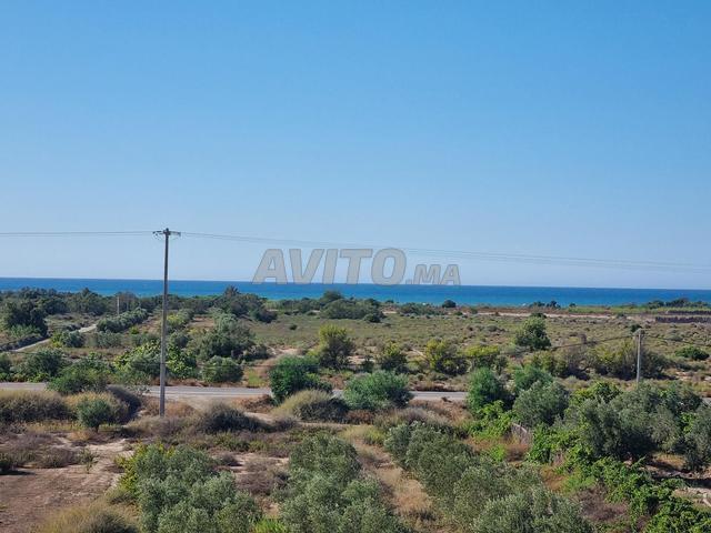 Propriété vente à Al Hoceïma, Tanger-Tétouan