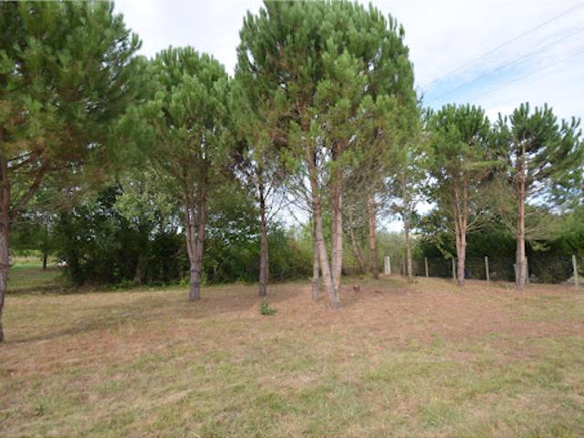 Terrain vente à Libourne, Le Fieu