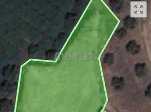 Propriété vente à Ouarzazate