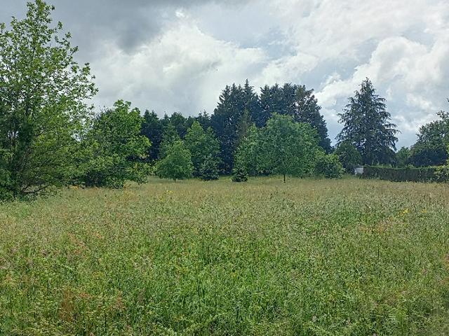 Terrain vente à Périgueux, Montpon-ménestérol