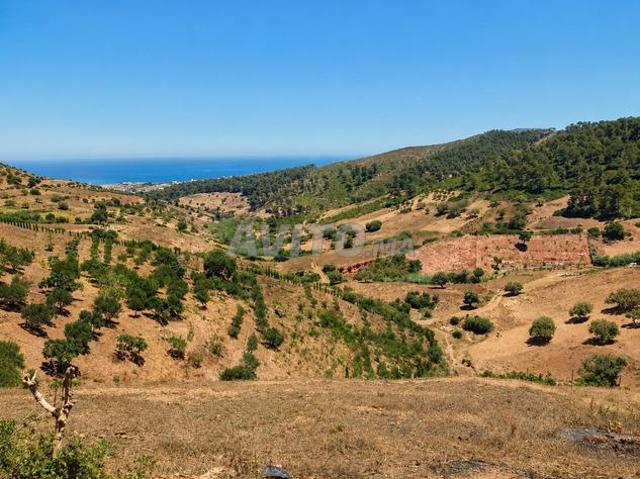 Propriété vente à Azla, Tanger-Tétouan