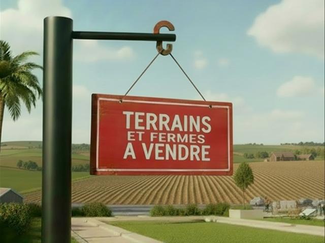 Propriété vente à Selouane