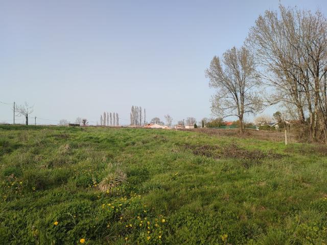 Terrain vente à Daignac, Gironde