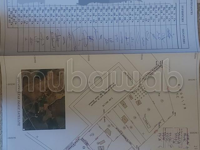 Terrain vente