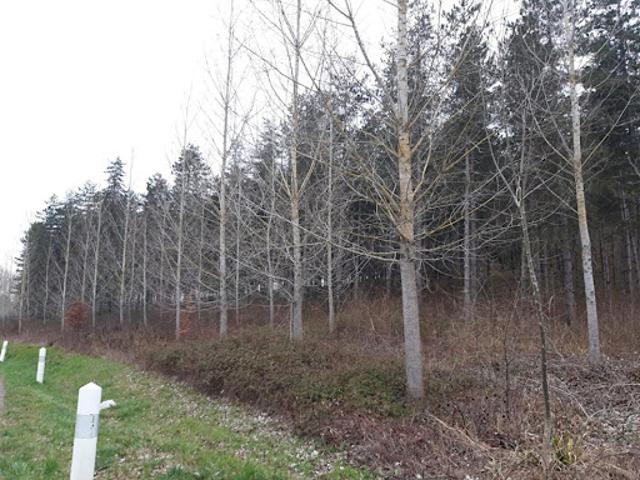 Terrain vente à Agen, Cauzac
