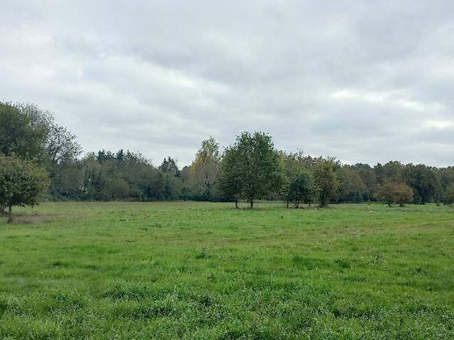 Terrain vente à Périgueux, Ménesplet