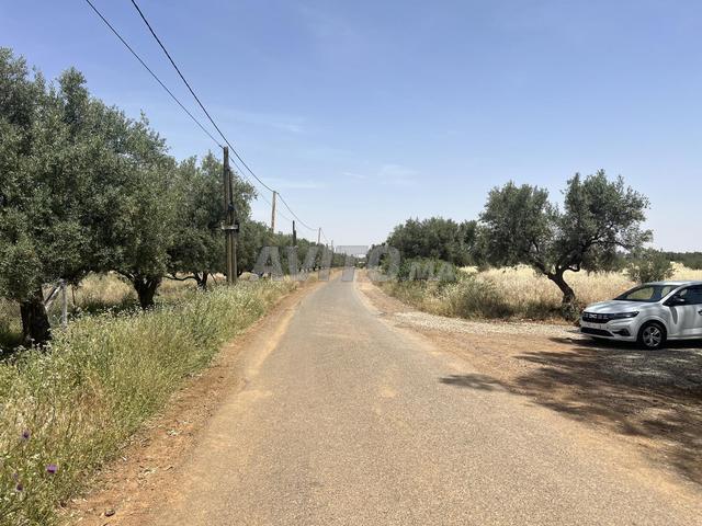 Propriété vente à Al Haouz, L'Oriental