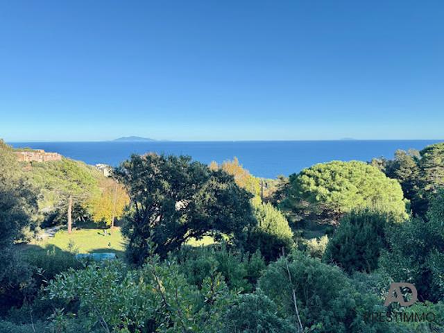 Terrain vente à Bastia