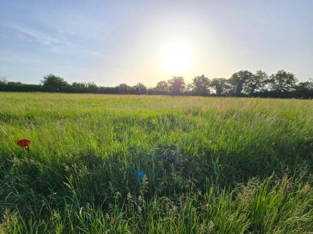 Terrain vente à Villeneuve-sur-Lot, Lalandusse