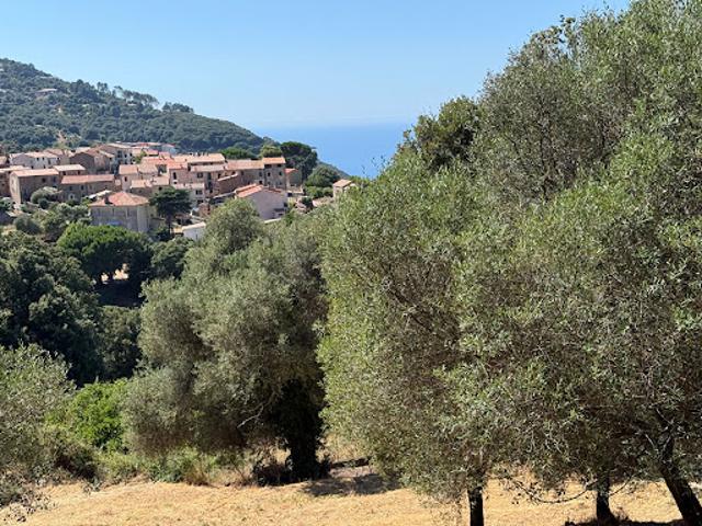 Terrain vente à Ajaccio, Piana