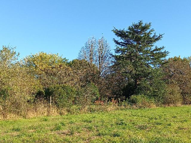 Terrain vente à Périgueux, Eygurande-et-gardedeuil