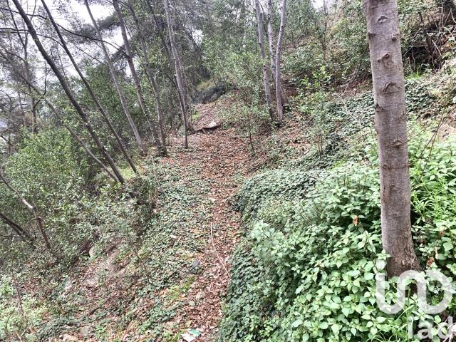 Terrain vente à France métropolitaine, Gorbio