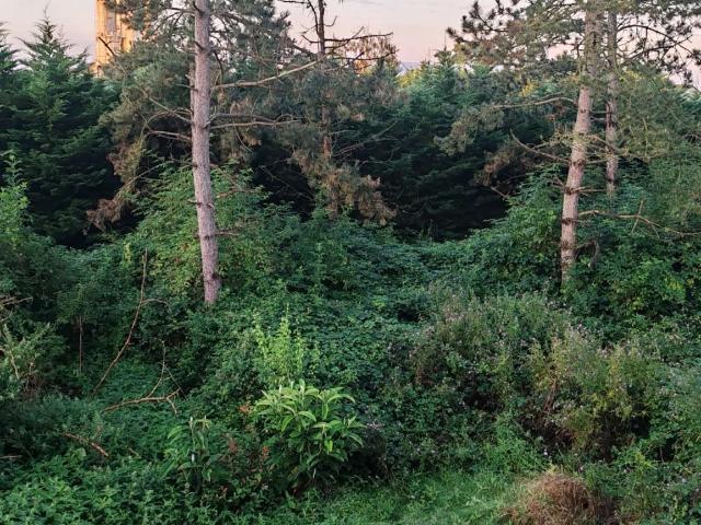 Terrain vente à Auneau, Auneau-Bleury-Saint-Symphorien