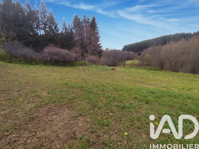 Terrain vente à Montbrison, Estivareilles