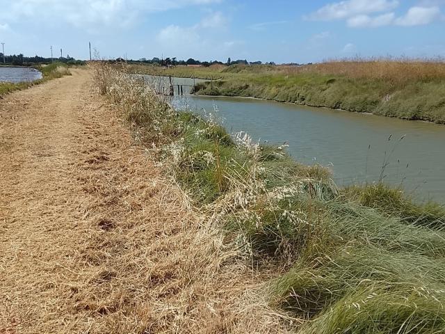 Terrain vente à Les Sables-d'Olonne, Saint-hilaire-de-riez