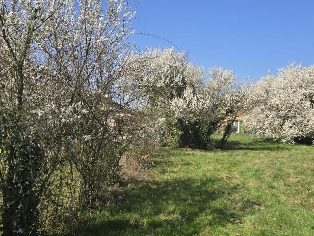 Terrain vente à Bourg-en-Bresse, Sainte-euphémie