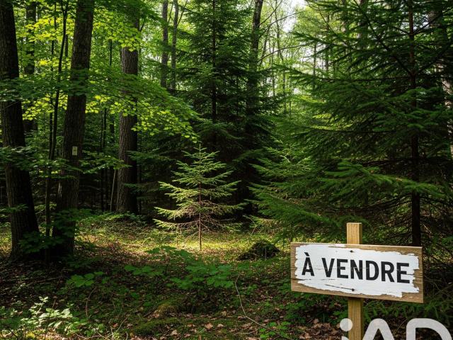 Terrain vente à Lesparre-Médoc, Arsac