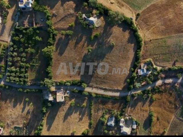 Propriété vente à Assilah, Tanger-Tétouan