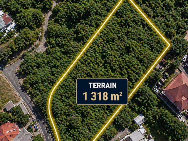 Terrain vente à La Réunion