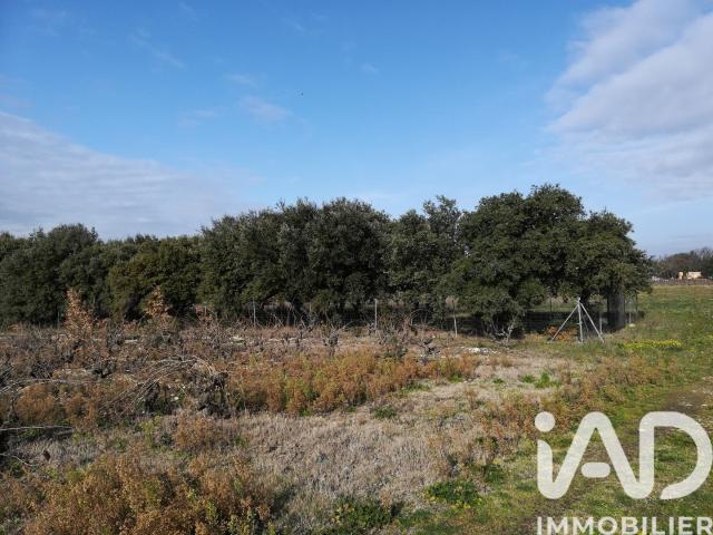 Terrain vente à Carpentras, Sainte-cécile-les-vignes
