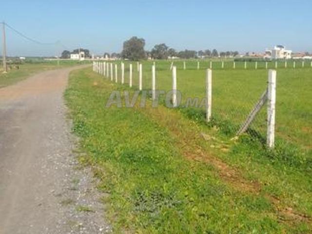 Propriété vente à Témara