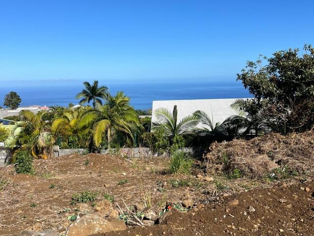 Terrain vente à La Réunion