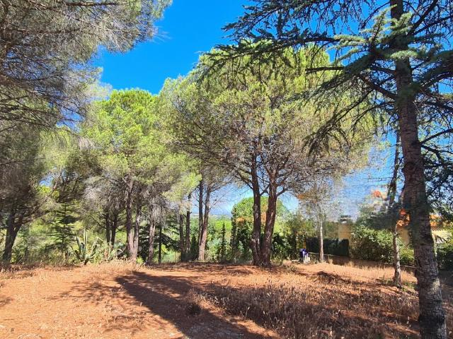 Terrain vente à Céret, Montesquieu-des-albères
