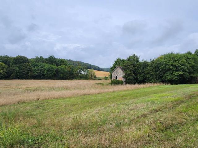 Terrain vente à Cunfin, Aube
