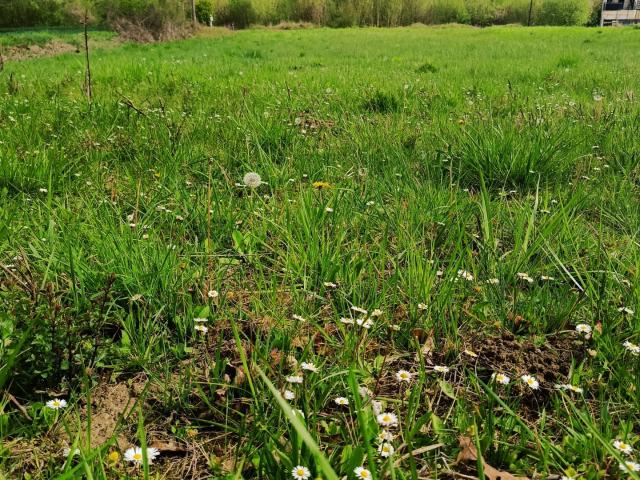 Terrain vente à Soissons, Vuillery