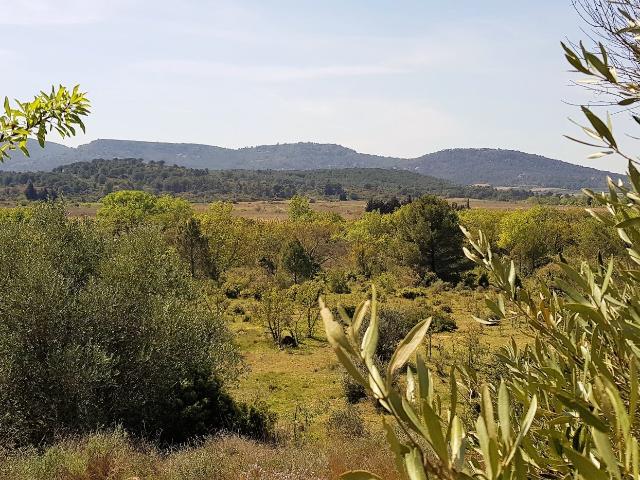 Terrain vente à Narbonne, Montséret