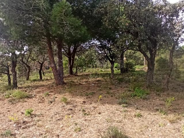 Terrain vente à Arrondissement de Draguignan, Sainte-maxime