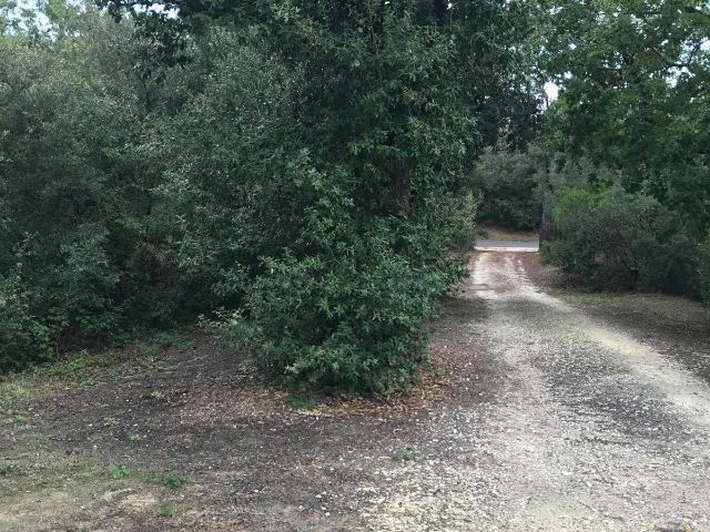 Terrain vente à Lesparre-Médoc, Soulac-sur-mer