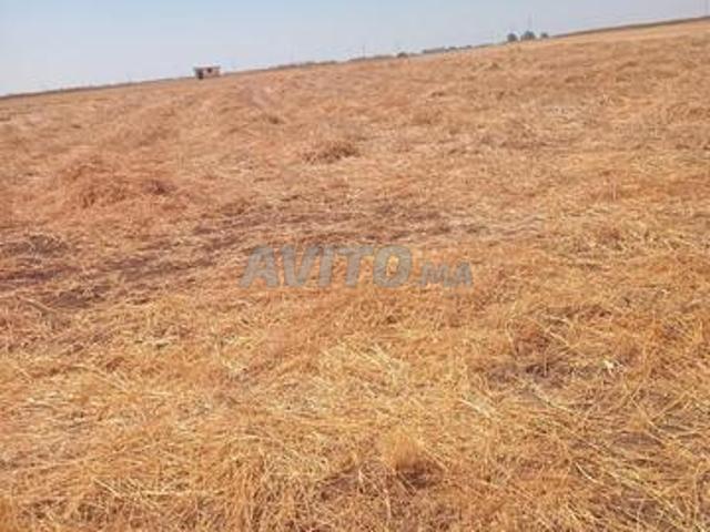 Propriété vente à Berrechid, Gharb-Chrarda-Beni Hssen