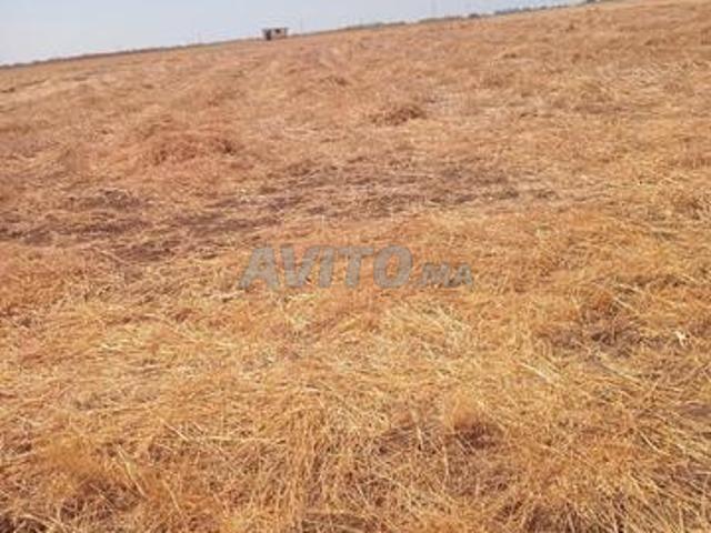Propriété vente à Berrechid, Gharb-Chrarda-Beni Hssen
