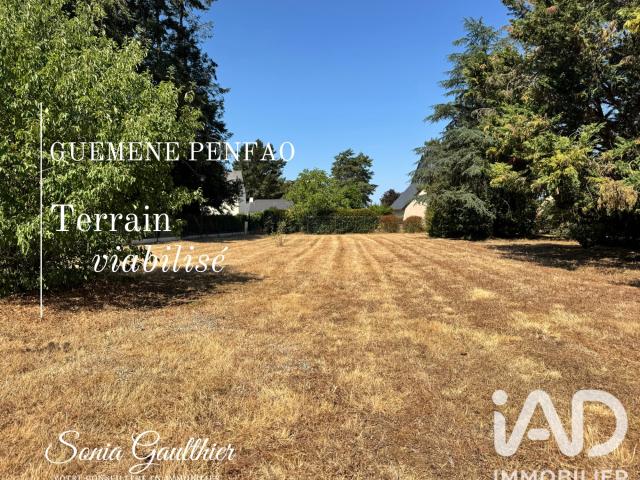 Terrain vente à Châteaubriant-Ancenis, Guémené-penfao
