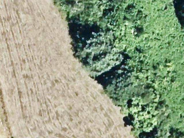 Terrain vente à Cros le Ballet, Châteauneuf-la-Forêt
