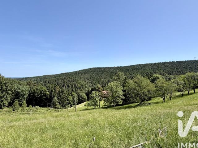 Terrain vente à Sarrebourg-Château-Salins, Dabo