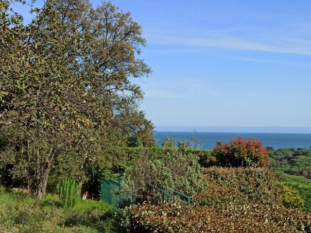 Terrain vente à Arrondissement de Draguignan, Sainte-maxime