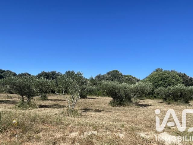 Terrain vente à Nîmes, Saint-siffret