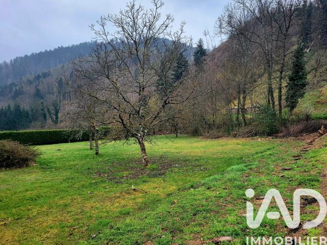 Terrain vente à Storckensohn, Collectivité européenne d'Alsace