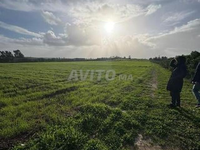 Propriété vente à El Ma, Gharb-Chrarda-Beni Hssen