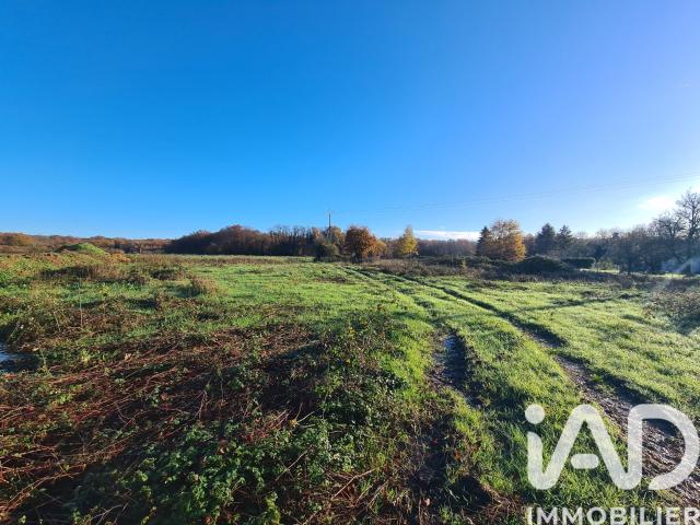 Terrain vente à France métropolitaine, Soulignonne