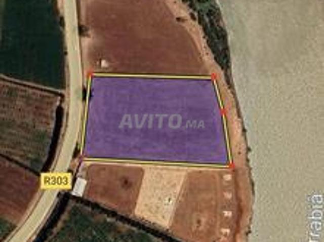 Propriété vente à El Ma, Gharb-Chrarda-Beni Hssen